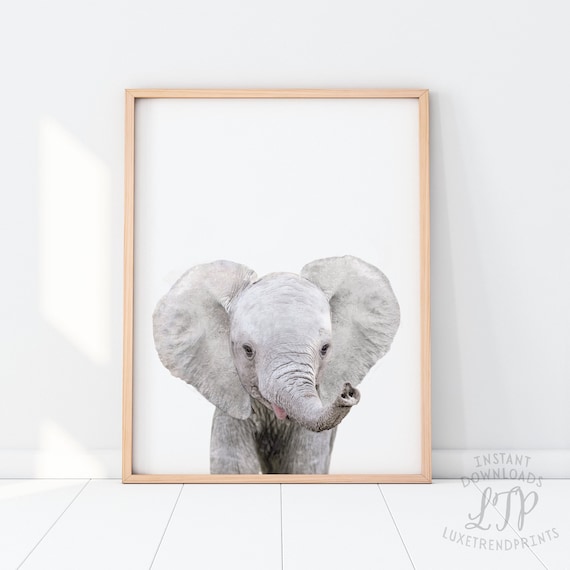 baby elephant prints for nursery