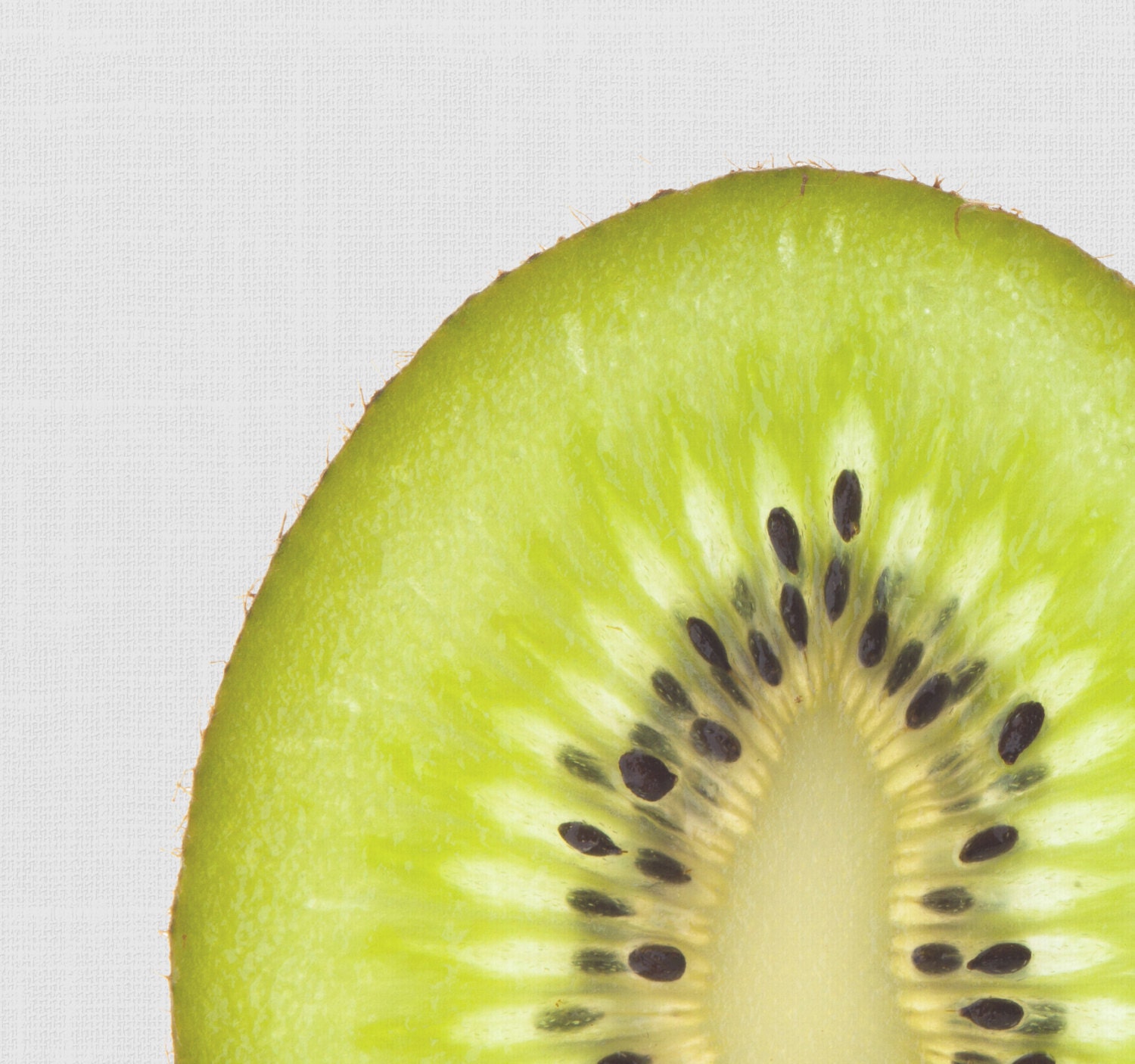 Kiwi Print Kiwi Art Kitchen Print Kitchen Wall Decor Etsy