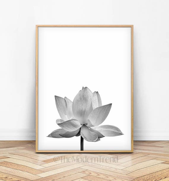 Lotus Print Black and White Lotus Lotus Photography Flower | Etsy