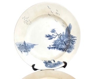 Viejos platos de tierra de hierro Jules Vieillard 1880