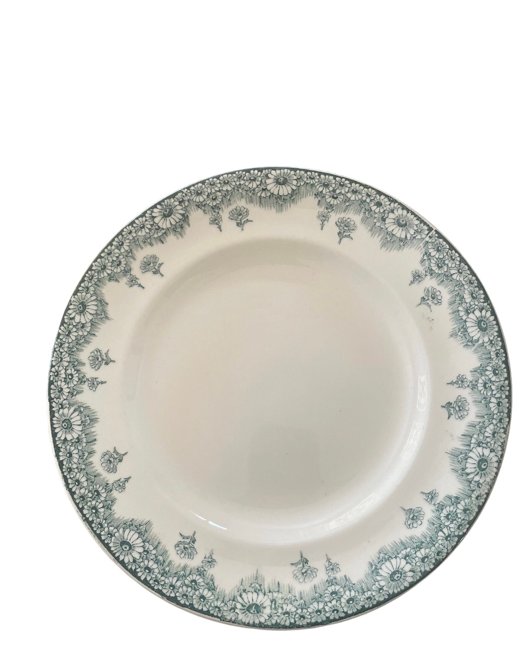 Set of 5 Longwy dinner plates with daisies