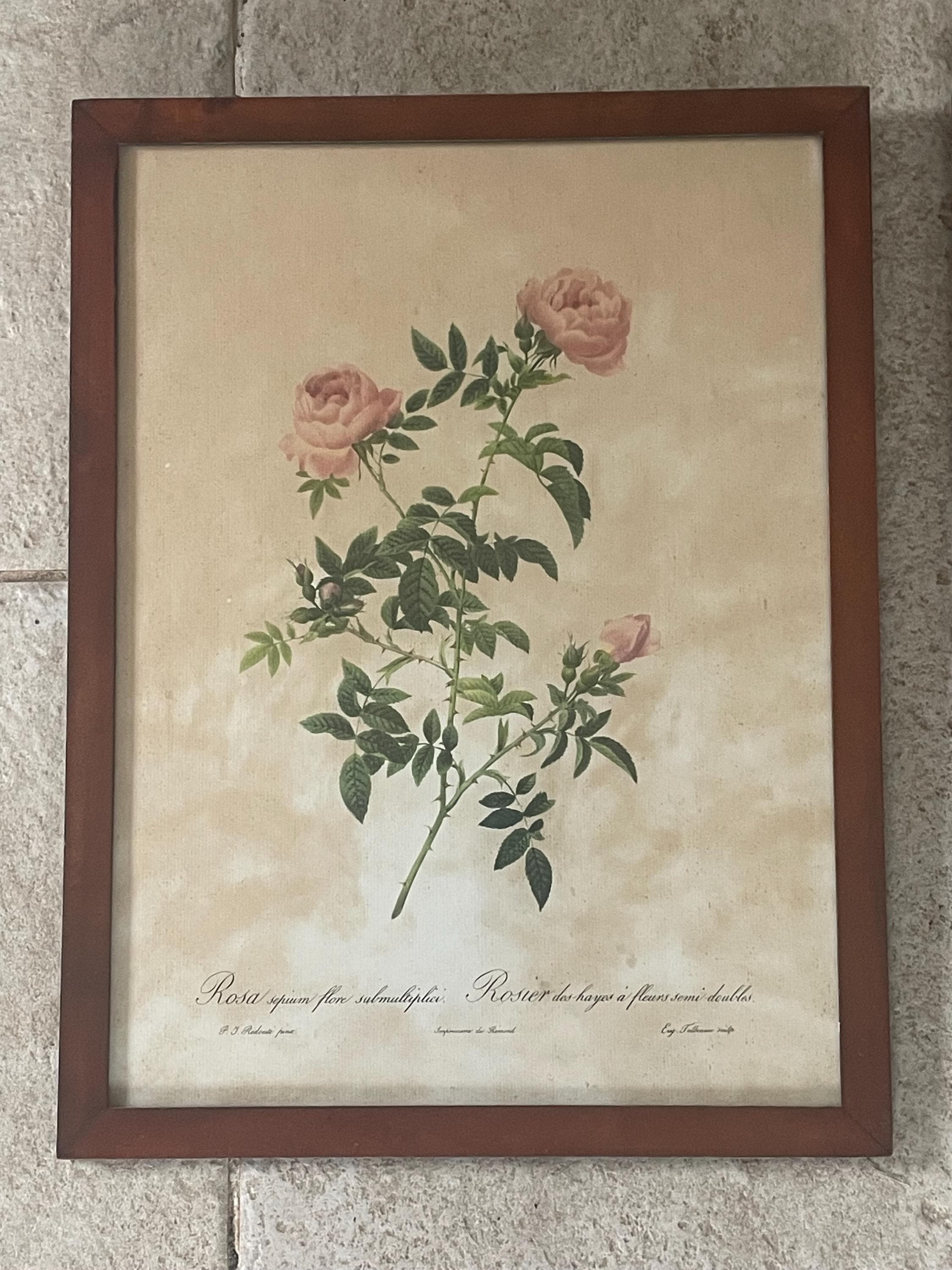 P.J.ルドゥーテ　薔薇　プリント　絵　額 P.J.ルドゥーテ 薔薇 プリント 絵 額 楽天市場】絵画 インテリア