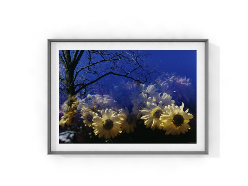 Paysage de rêve Ciel bleu fleurs jaunes Paysage de parc | Etsy
