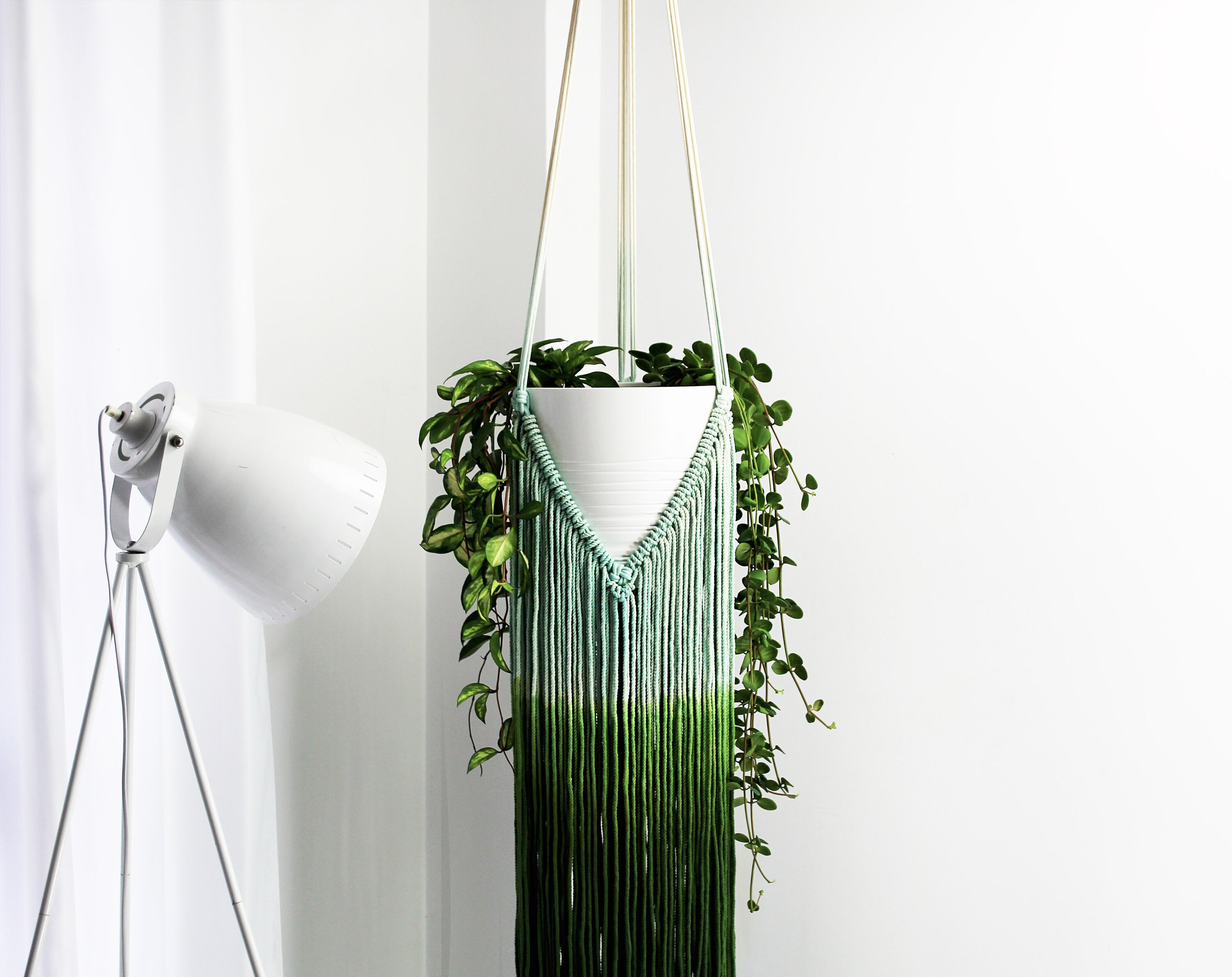 Extra LARGE Plant Hanger Macrame Plant Lover Gift Plant Etsy