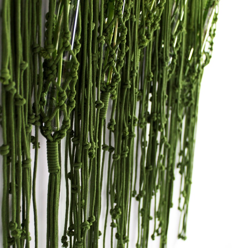 Pared de FLORES DE PRADO, Pared de tubo de ensayo, Soporte de planta, Telón de fondo del panel de flores, Colgante de pared de Macrame imagen 6