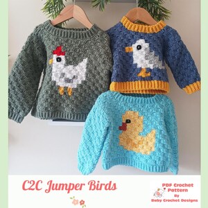 May include: Three long-sleeved crochet jumpers featuring pixelated bird designs. One is sage green with a white chicken, one is blue with a white seagull and yellow trim, and one is light blue with a yellow duck. Text reads C2C Jumper Birds.