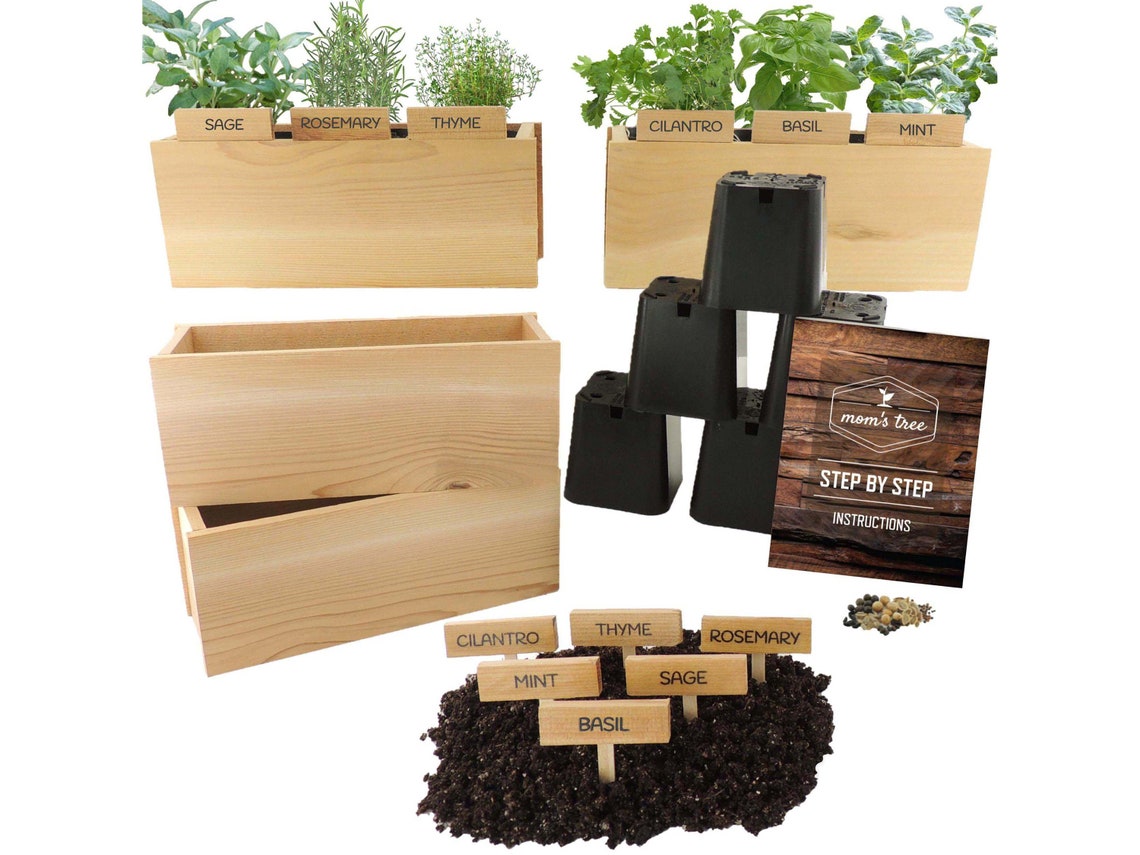 6 Herb Garden Seed Starter Kit Cedar Wood Indoor Outdoor Etsy