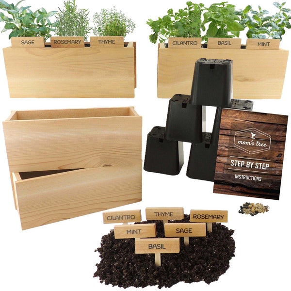 6 Herb Garden Seed Starter Kit Cedar Wood Indoor Outdoor Planter Box Pot for Kitchen Window Balcony Windowsill Patio Gardening or Gift