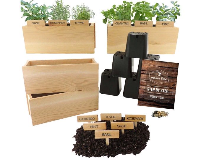Custom Herb Garden Seed Starter Kit: Indoor Cedar Planter Box, Organic & Non-GMO - Pick 6