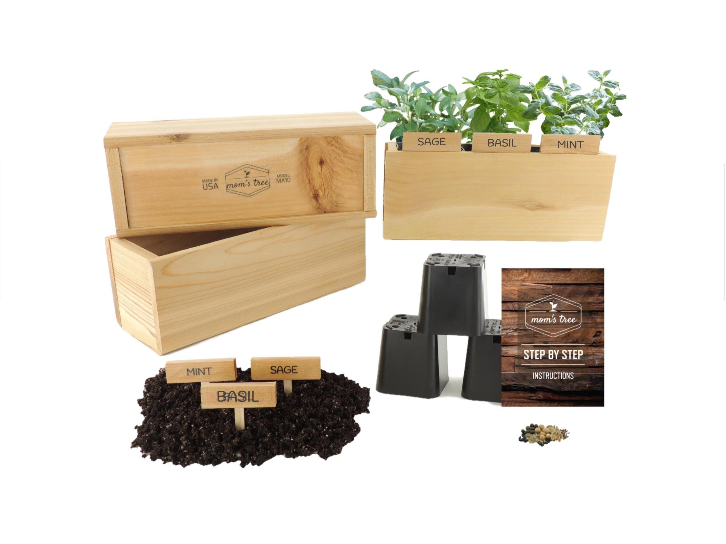 DESAI Indoor Herb Garden Kit – 9 Non-GMO Seeds With Reusable Pots & Planter, DIY Grow Set, White Pots