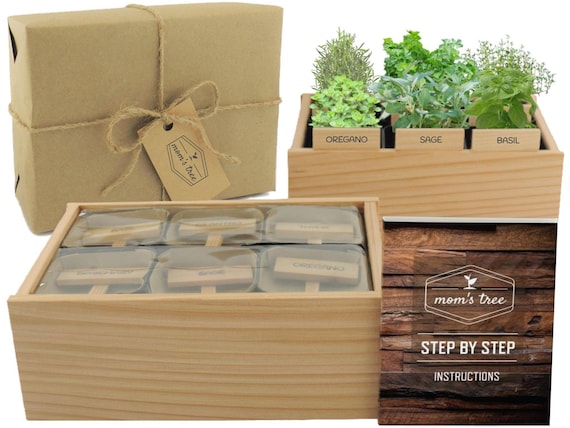Pick 6 Herb Garden Starter Kit