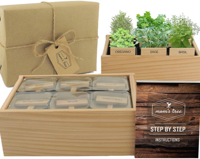 Pick 6 Herb Garden - Window Seed Starter Kit -Cedar Wood Indoor Outdoor Planter Box Pot for Kitchen Windowsill Patio -Organic Gardening Gift