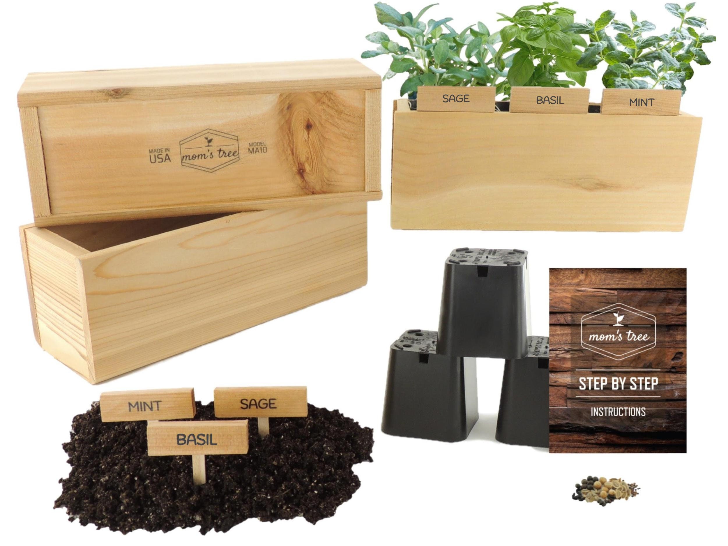 Pick 3 Herbs Window Garden Seed Starter Kit Indoor Outdoor Etsy