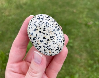 Dalmatian Stone Palmstone - Crystal Healing