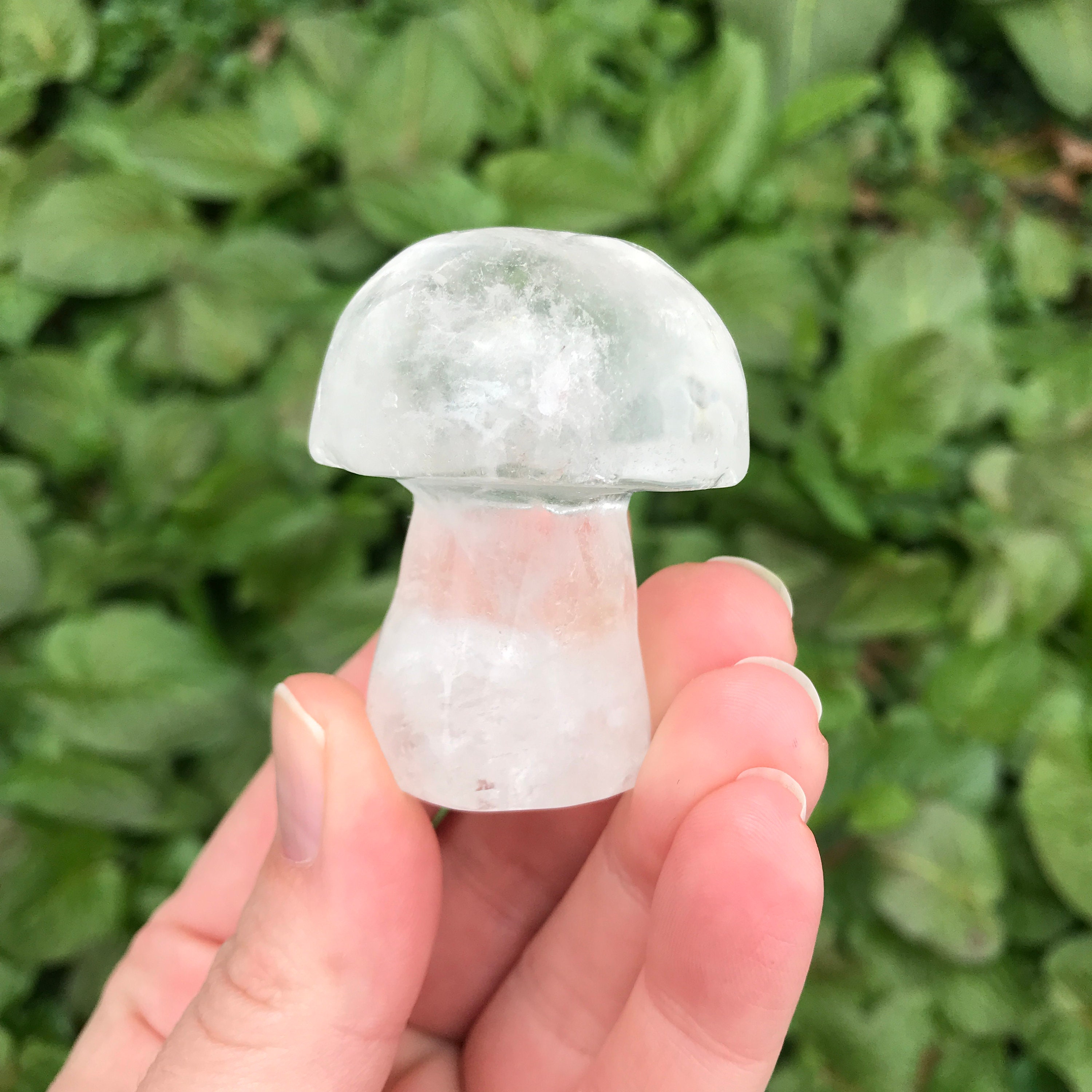 Clear Quartz Mushroom Crystal Mushroom Crystal Mushie 1 Etsy Singapore