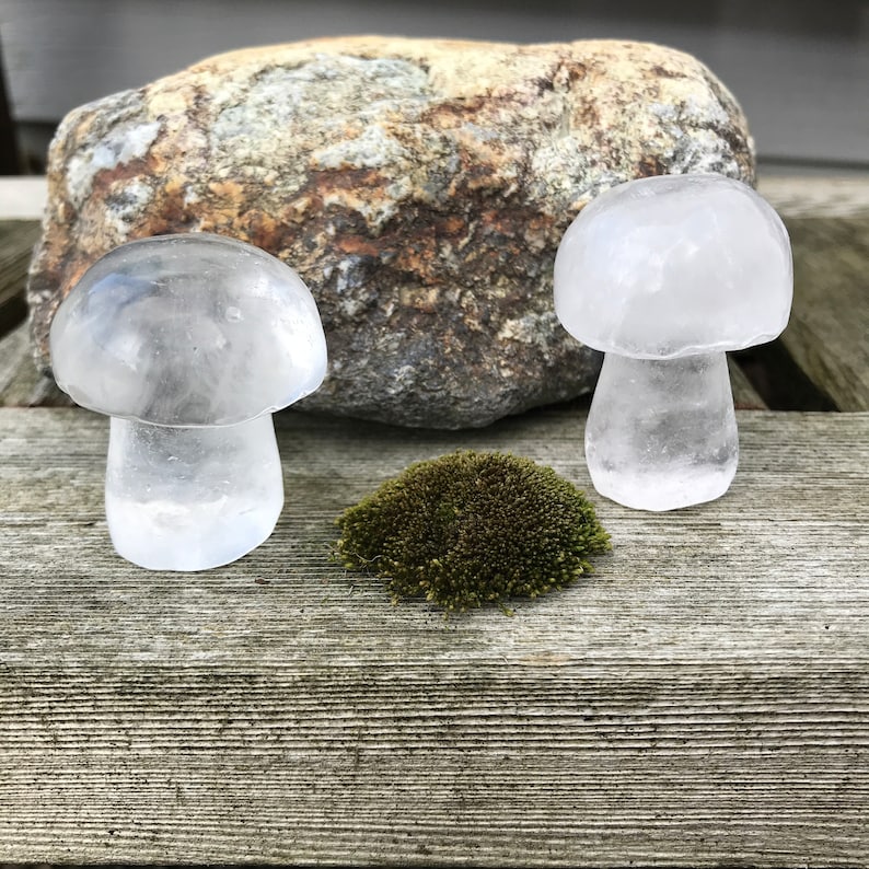 Clear Quartz Mushroom Crystal Mushroom Crystal Mushie 5 Etsy