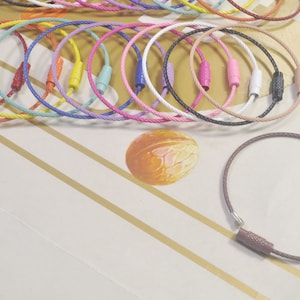 Könnte beinhalten: Eine Sammlung farbenfroher Schlüsselanhänger mit geflochtenen Metallschlaufen und farblich passenden Verschlüssen. Die Schlüsselanhänger sind in verschiedenen Farben erhältlich, darunter Rot, Gelb, Blau und Rosa. Ein einzelner brauner Schlüsselanhänger ist ebenfalls sichtbar. Die Schlüsselanhänger haben einen Durchmesser von etwa 10 cm.