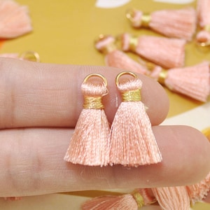 Small Silk Tassel,20pcs 0.9&quot; Petal peach Mini Tassels,earring tassels,tassel accessories,tassel pendant charm,DIY Craft Supplies