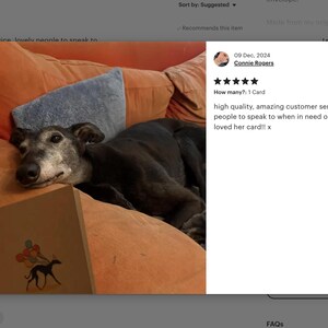Puede incluir: Un perro negro y gris yace en un sof&aacute; marr&oacute;n con una tarjeta que presenta una ilustraci&oacute;n en blanco y negro de un perro con globos. La tarjeta tiene el texto "high quality, amazing customer service, lovely people to speak to when in need of help, mum loved her card!! x".