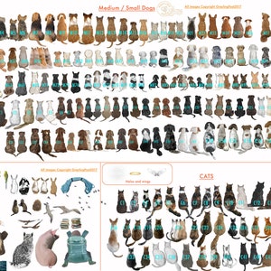 May include: A chart with illustrations of various dog and cat breeds. The chart is divided into sections labeled "Medium / Small Dogs", "Other", "Hales and Wings", and "Cats". Each animal is numbered and labeled with a letter and number, for example, "M1", "C2", and "E3".