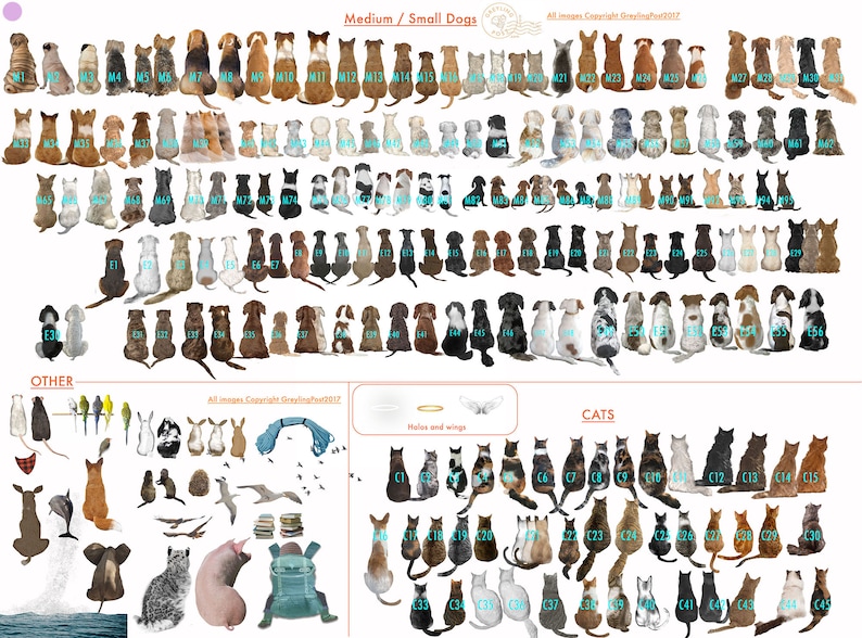 May include: A chart with illustrations of various dog and cat breeds. The chart is divided into sections labeled "Medium / Small Dogs", "Other", "Hales and Wings", and "Cats". Each animal is numbered and labeled with a letter and number, for example, "M1", "C2", and "E3".