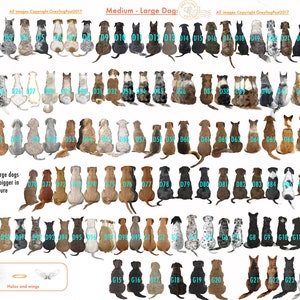 May include: A chart of 65 different dog breeds, all sitting in a row. The dogs are all facing the viewer and are in various colors and patterns. The chart is labeled "Medium - Large Dog" and includes the numbers 01 to 65.