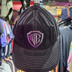 Vintage Warner Bros Logo Cap