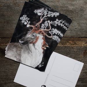 Pine Reindeer Kunstpostkarte