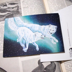 Carte postale artistique renard arctique