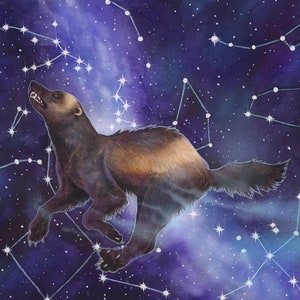 Stargaze A3 poster art print