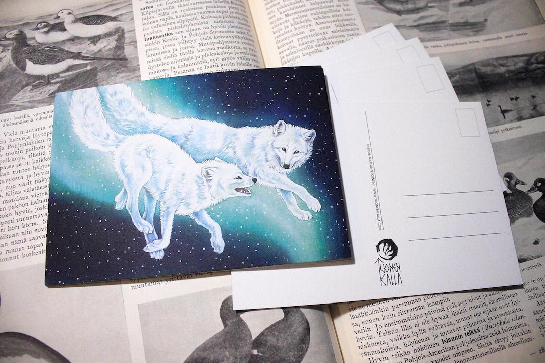 Arctic Fox art postcard - Etsy Polska