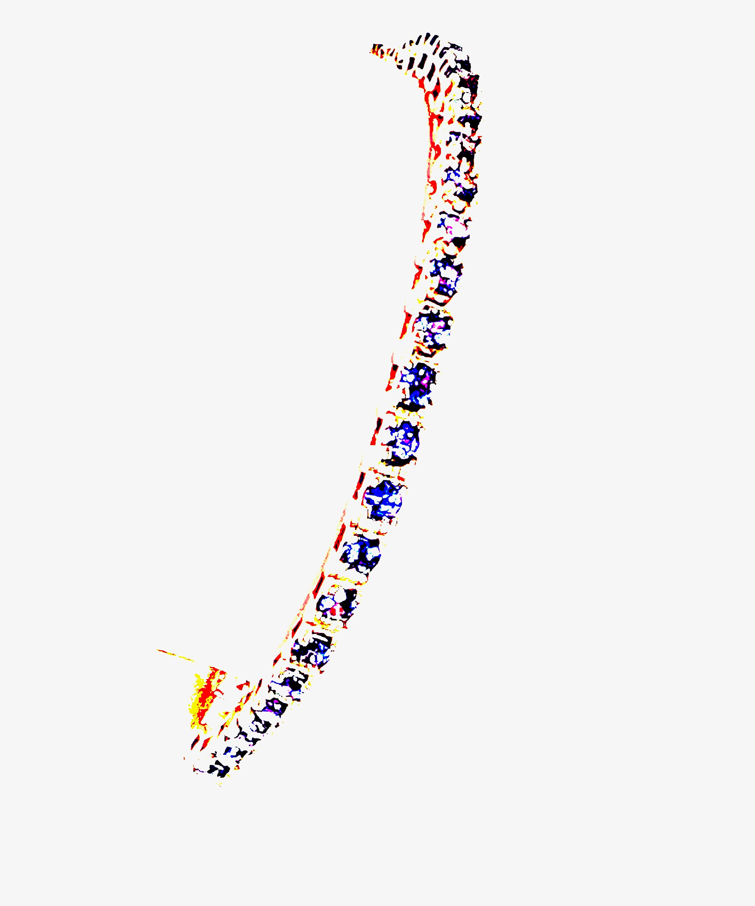 Americana Genre Yogo Sapphires Yogo Gulch Montana 14K Yellow Etsy