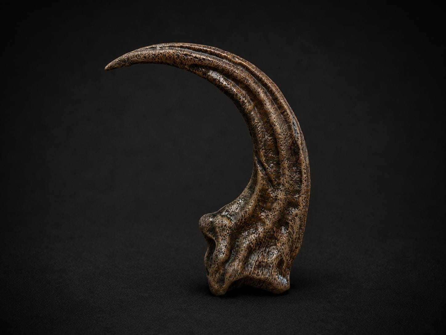 Jurassic Park Raptor Claw Replica - Etsy