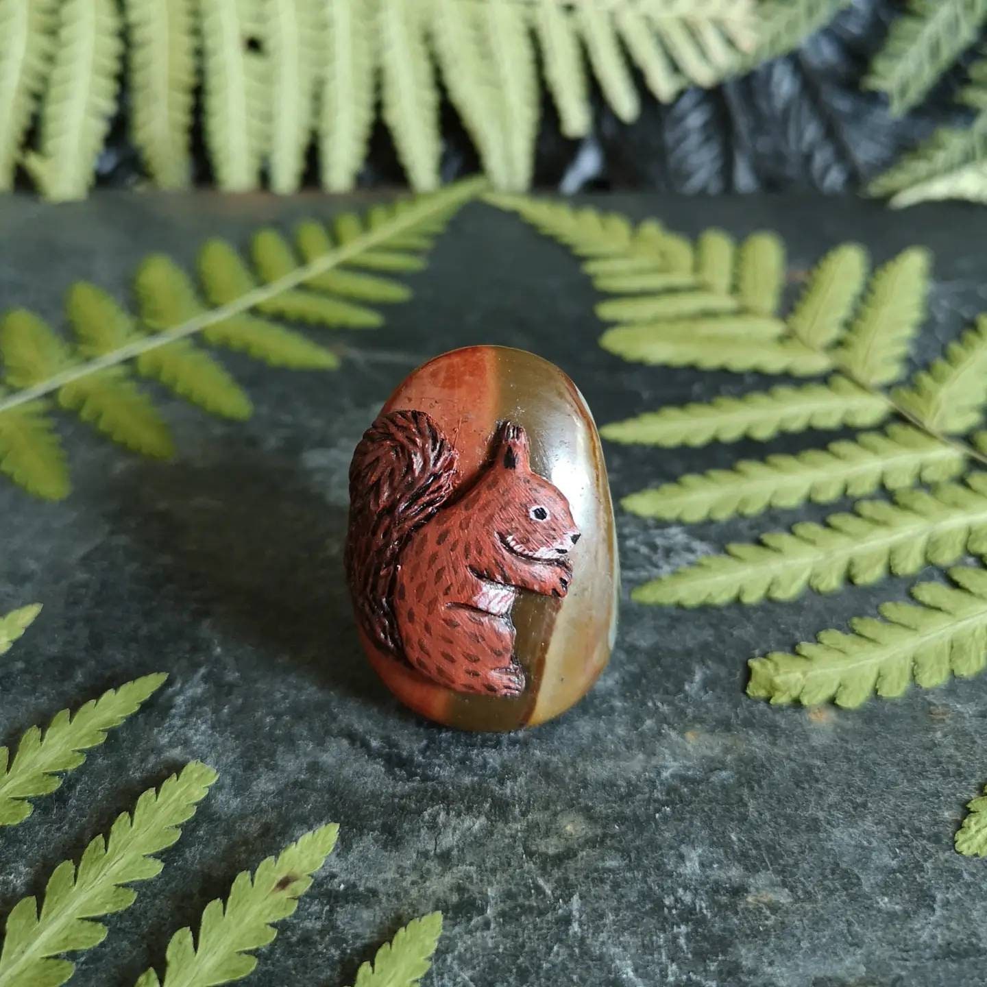 Écureuil Jaspe Polychrome