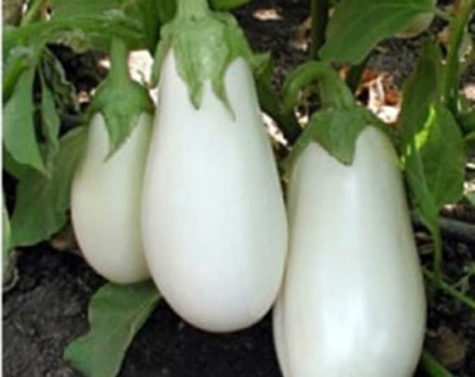 Vegettable AUBERGINE GOLDEN EGGS 20 Seeds White to Yellow Solanum M. Etsy