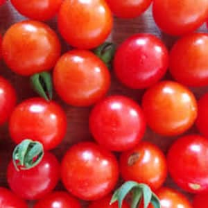 May include: A close-up of a group of small, bright red cherry tomatoes.