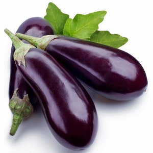 Florida Market Eggplant 30+ fresh organic seeds for 2025
