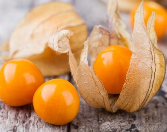Pineapple Ground Cherry (tasty) 60+ fresh organic seeds for 2025