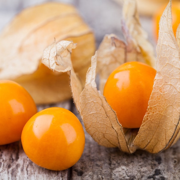 Pineapple Ground Cherry (tasty) 60+ fresh organic seeds for 2026