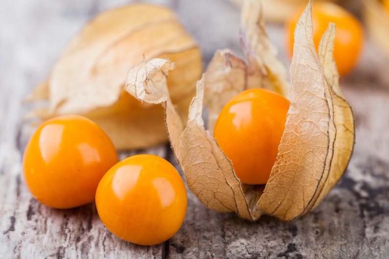 Pineapple Ground Cherry (tasty) 60+ fresh organic seeds for 2026 image 1