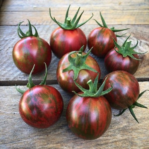 May include: A group of eight red and green striped heirloom tomatoes. The tomatoes are arranged on a wooden surface.