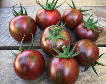 Purple Bumblebee tomato. 30+ fresh seeds for the 2026 season