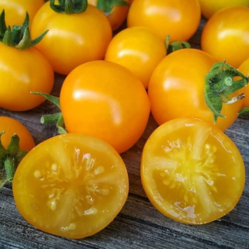 Orange Hat Micro Dwarf Tomato 30 fresh seeds for 2024 image 2