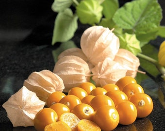 Inca Berry 60+ freshly harvested seeds for the 2026 season