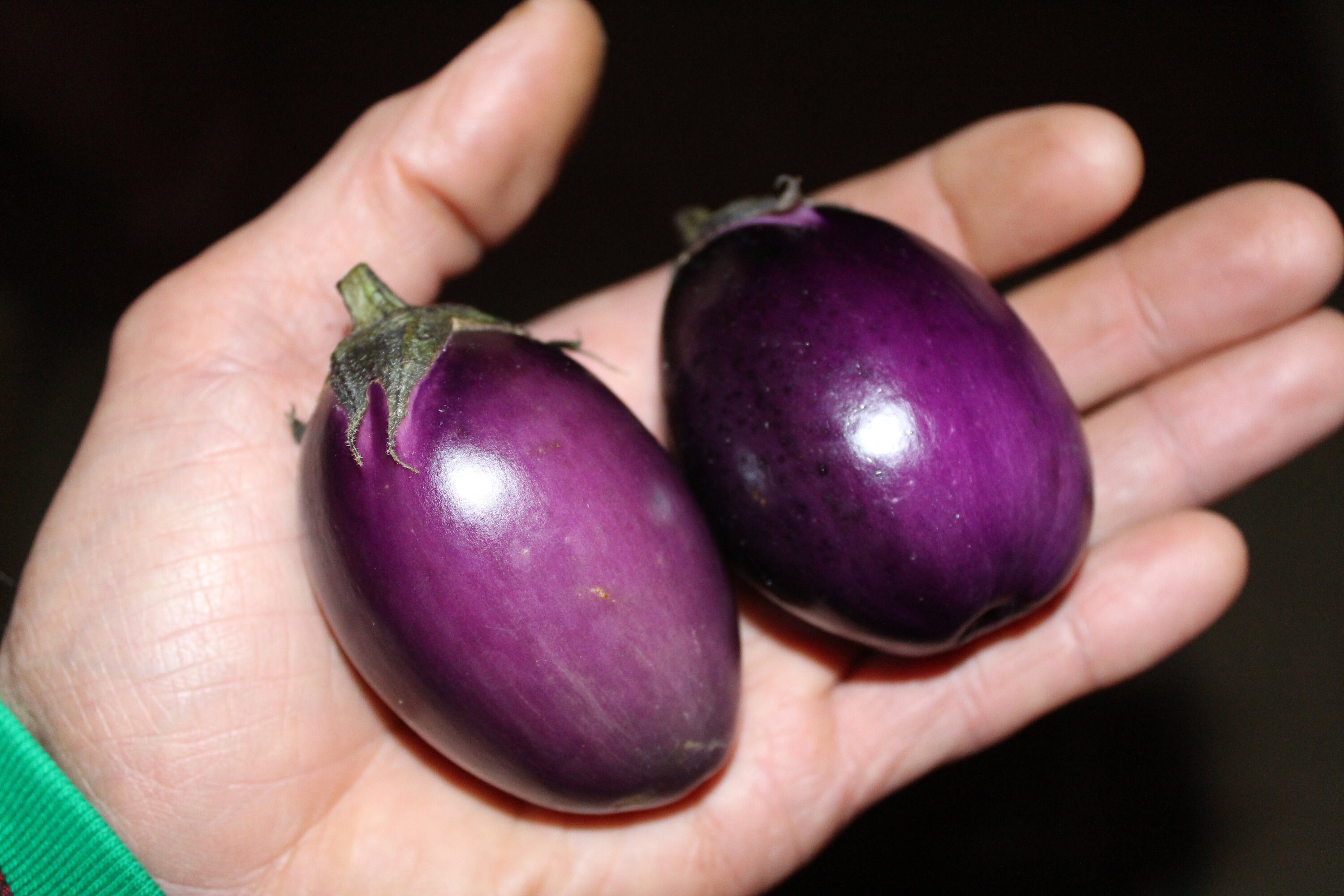 Graines Alimentaires Certifiées AB, Demeter Et Biosuisse - Grains De Soleil - Foto 8