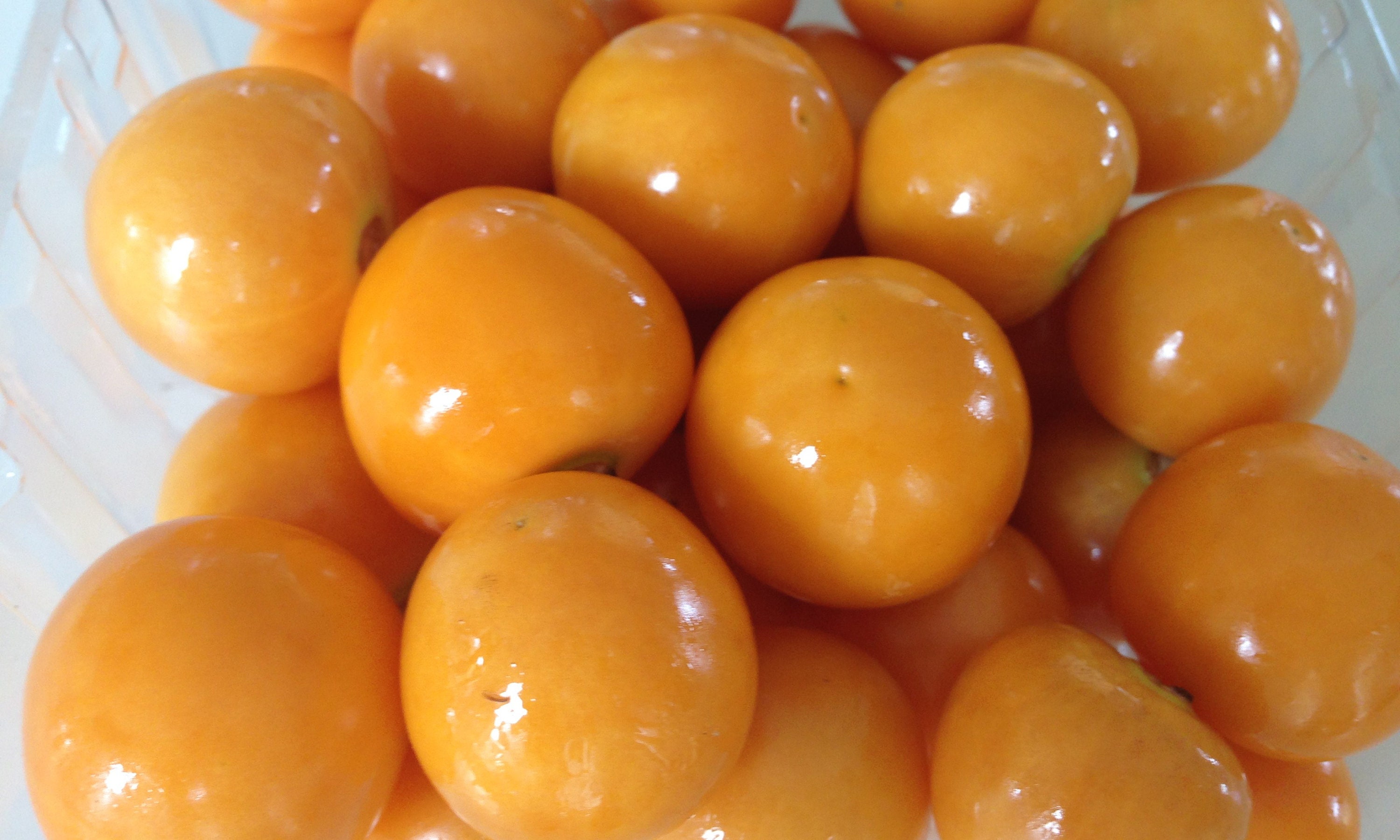 Inca Berry 60+ Freshly Harvested Seeds for the 2026 Season - Etsy