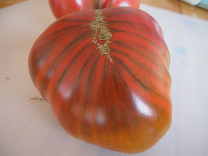 Rare Chocolate Amazon Tomato 30 Fresh Organic Seeds for the Etsy