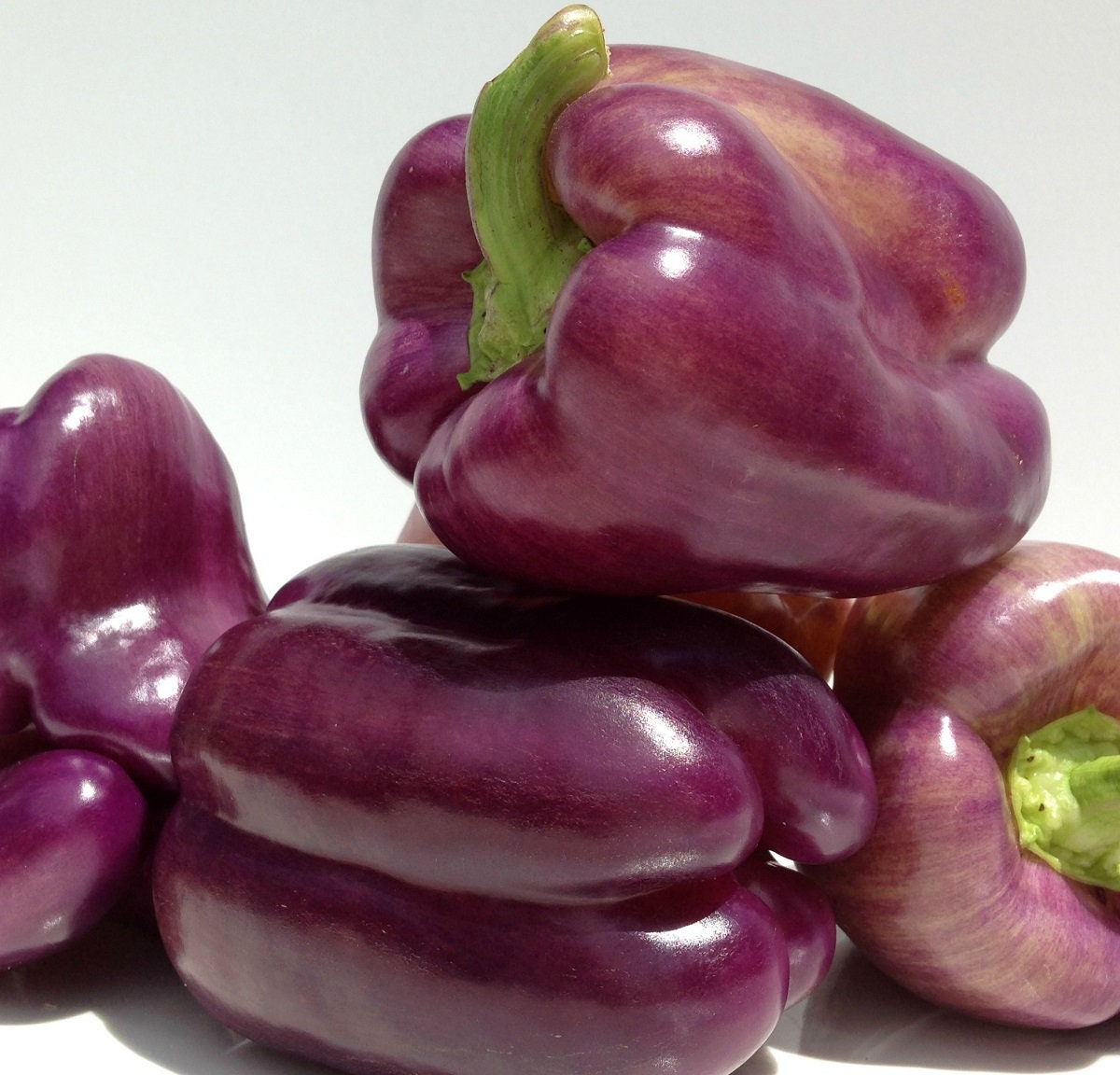 Rare Lilac sweet pepper 30+ fresh organic seed for the 2025 season.