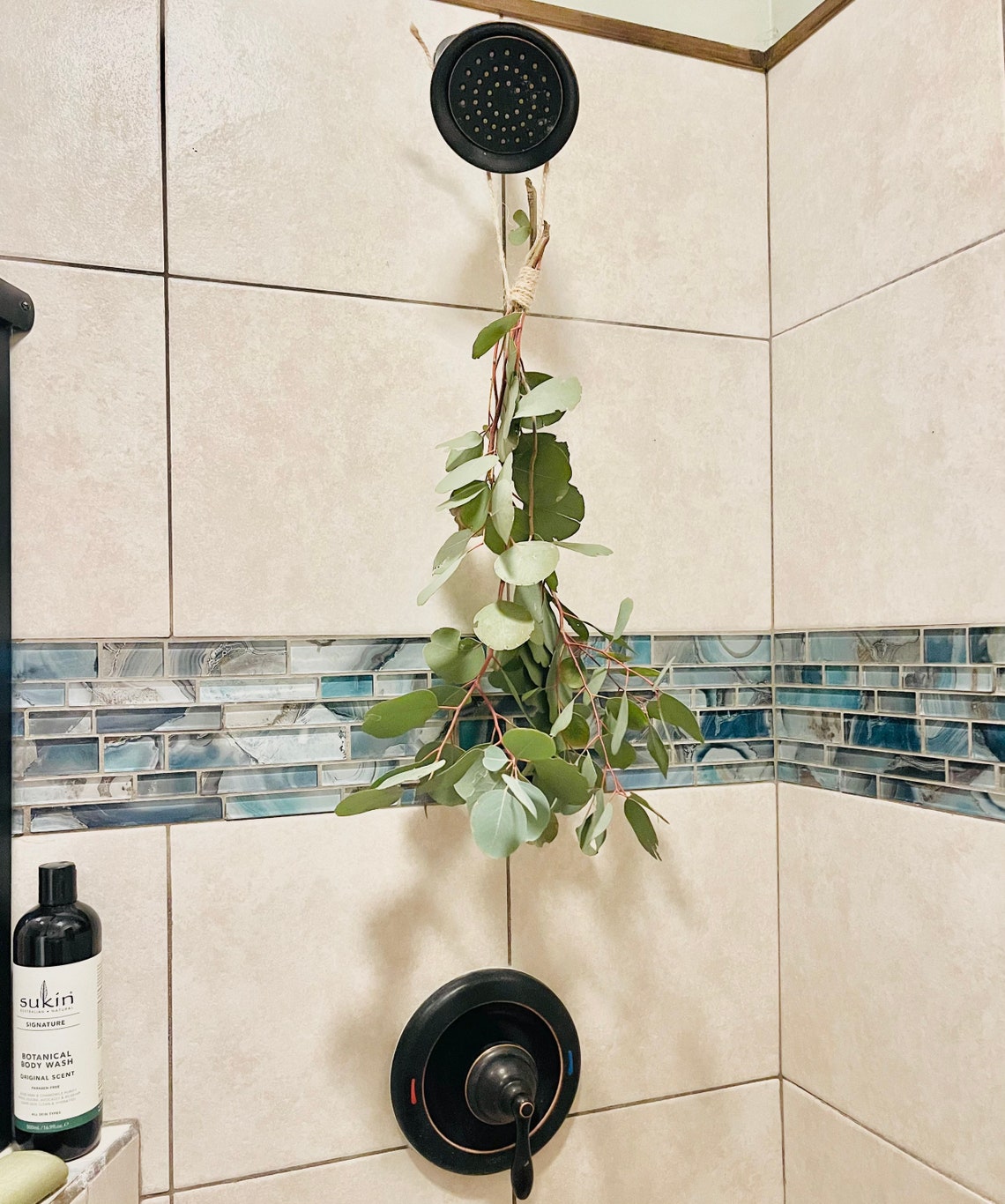 Fresh SilverDollar Eucalyptus Shower Spray Bundles Etsy