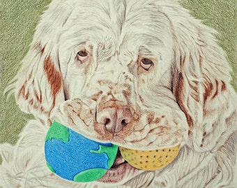 Pet Business Growth Opportunity